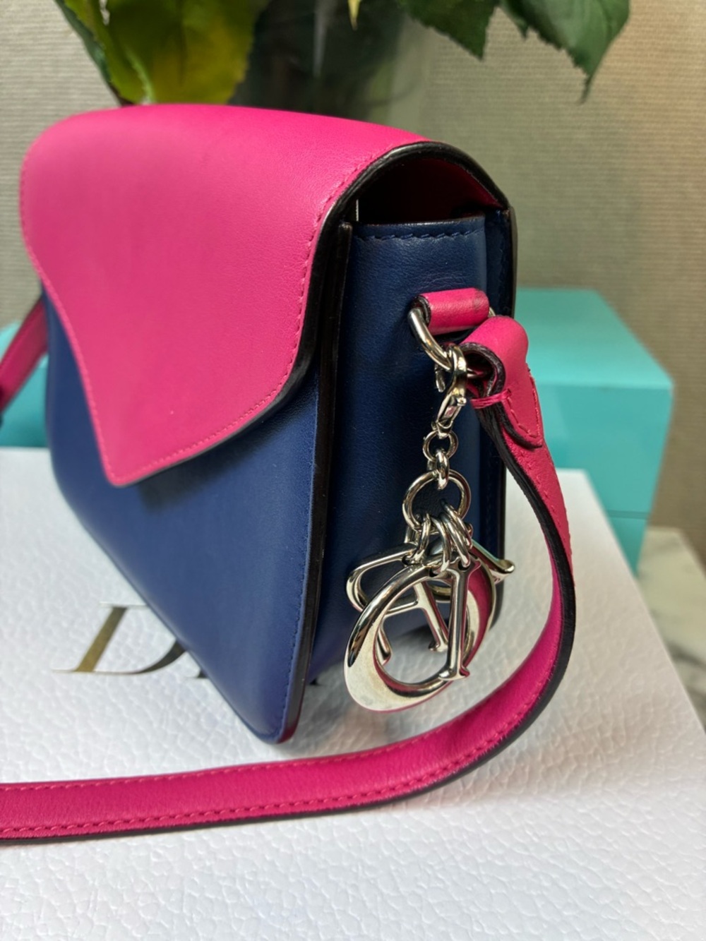 Dior Pink & Blue Leather Diorissimo Promenade Crossbody - Beautiful Pre-Loved - Picture 2 of 16